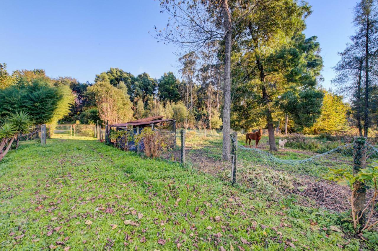 Casa Do Moinho Rural Campo E Praia , 9 Pessoas, Animais Benvindos Espinho  Exteriér fotografie