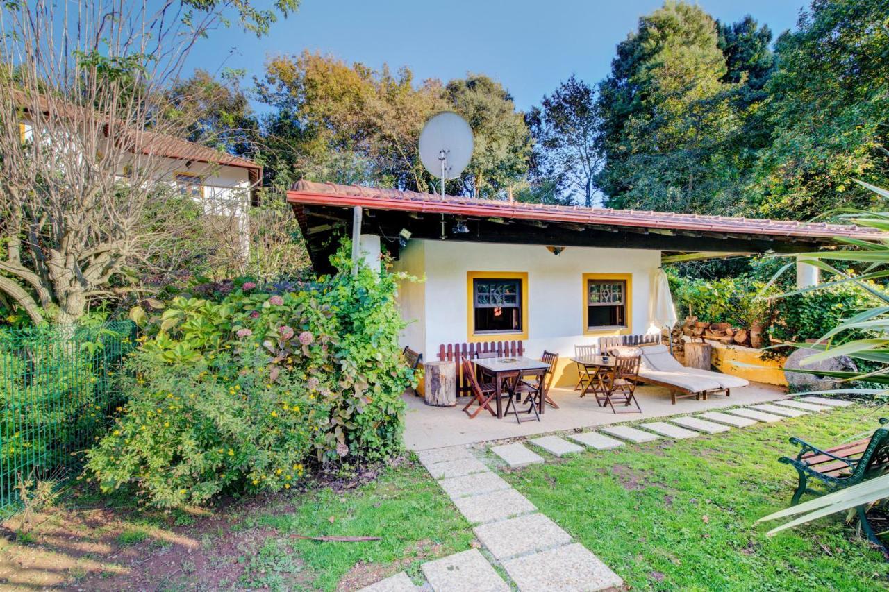 Casa Do Moinho Rural Campo E Praia , 9 Pessoas, Animais Benvindos Espinho  Exteriér fotografie