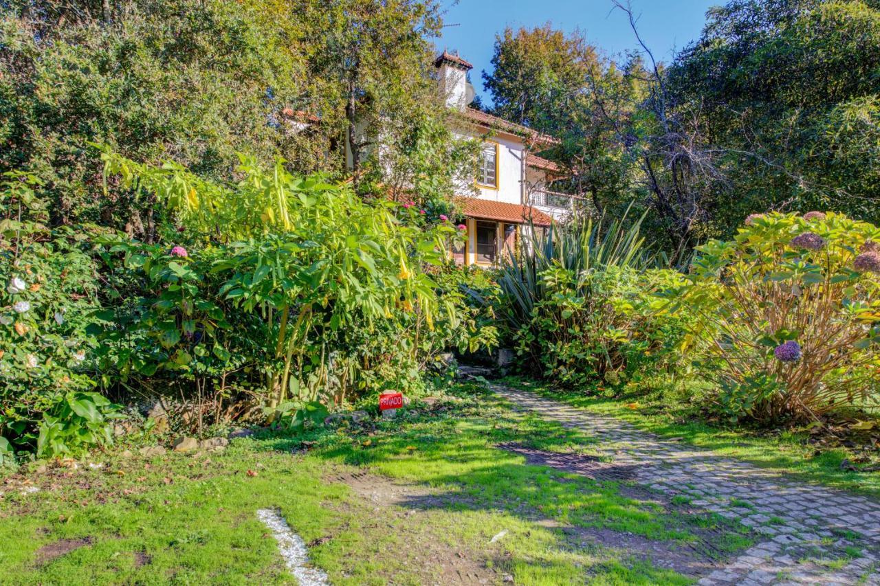 Casa Do Moinho Rural Campo E Praia , 9 Pessoas, Animais Benvindos Espinho  Exteriér fotografie
