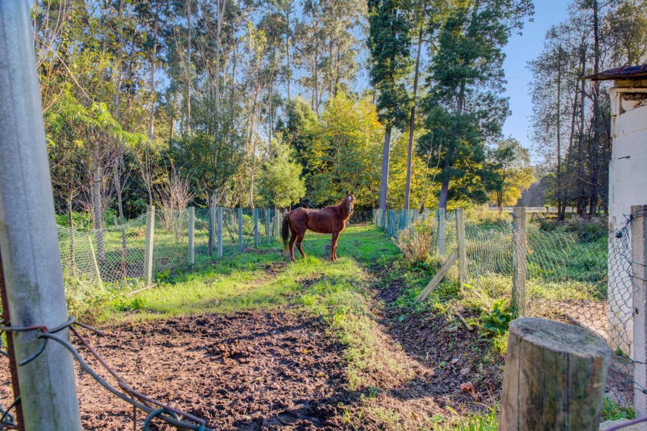 Casa Do Moinho Rural Campo E Praia , 9 Pessoas, Animais Benvindos Espinho  Exteriér fotografie