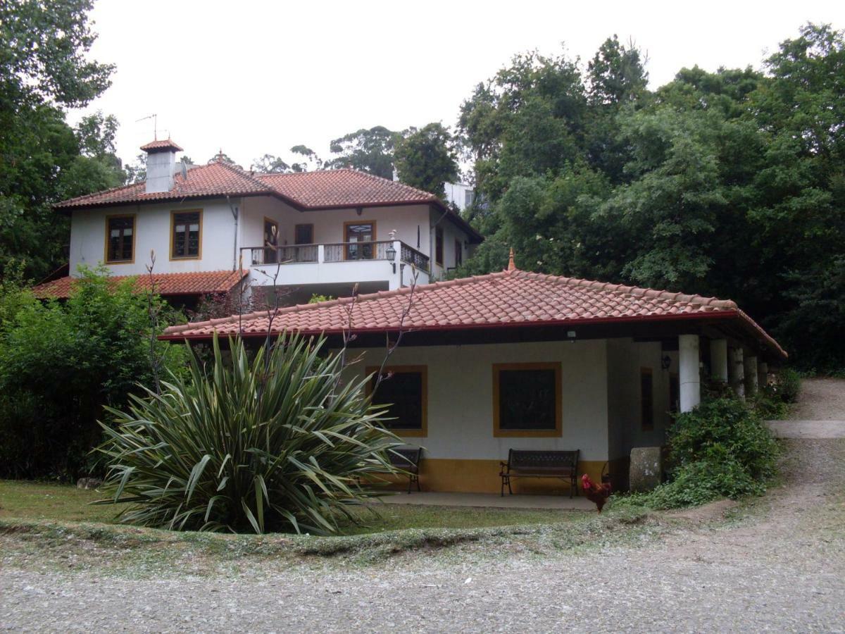 Casa Do Moinho Rural Campo E Praia , 9 Pessoas, Animais Benvindos Espinho  Exteriér fotografie